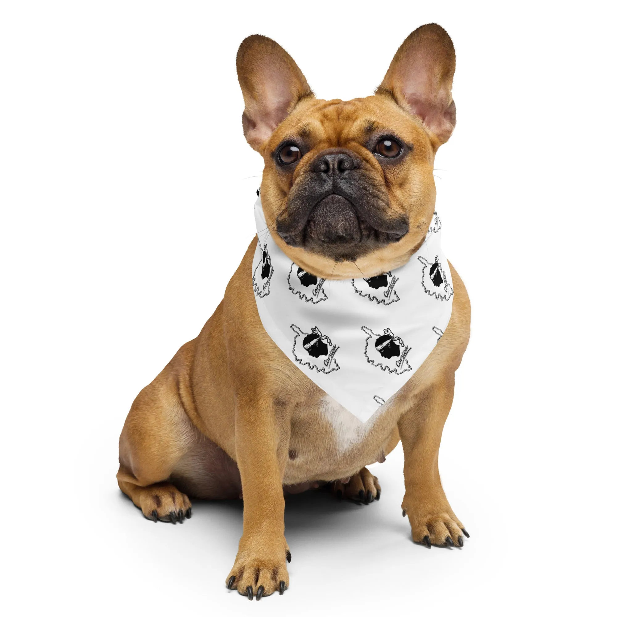Bandana pour Chien Corsica Blanc